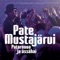 Patarouva Ja Ässähai - Pate Mustajärvi lyrics