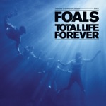 Foals - what remains