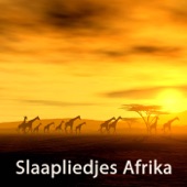 Slaapliedjes Afrika artwork