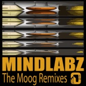 Mindlabz - The Moog