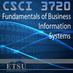 Fundamentals of Business Information Systems - Spring 2013 cover