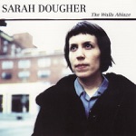 Sarah Dougher - The Flag