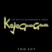 Too Shy: The Best of Kajagoogoo & Limahl