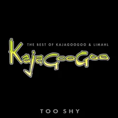 Too Shy: The Best of Kajagoogoo & Limahl by Kajagoogoo & Limahl album reviews, ratings, credits