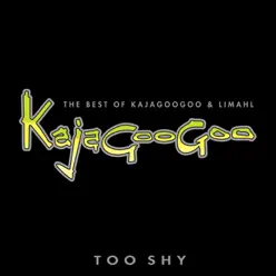 Too Shy: The Best of Kajagoogoo & Limahl - Limahl