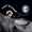 Dispatches from the Moon