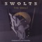 Reflections of a Street Dude (feat. Aaron Sledge) - Swolts lyrics