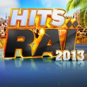 Hits Raï 2013 artwork