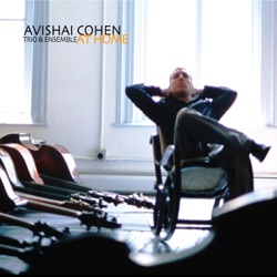 Avishai Cohen - Remembering