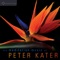The Meditation Music of Peter Kater: Evocative, Expressive Instrumental Music for Meditation