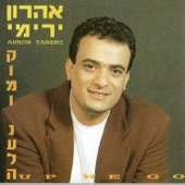 לו רק ידעתי artwork