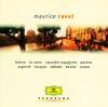 Maurice Ravel - Panorama artwork