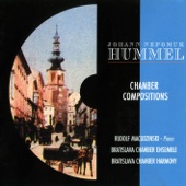Hummel: Chamber Compositions artwork