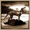 Bendigo Rock - Russell Morris lyrics