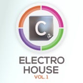 Electro House (Volume 01) artwork