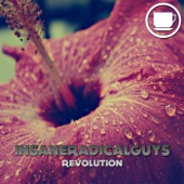 Revolution artwork