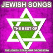 Jewish Songs (The Best of Yiddish Songs and Klezmer Music) artwork