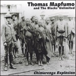 Thomas Mapfumo & The Blacks Unlimited - Disaster