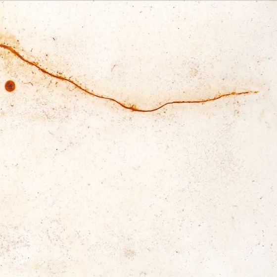 Cover artwork for Nulle Part