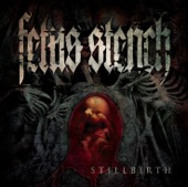 Stillbirth artwork