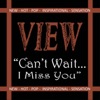 Can't Wait... I Miss You - Single