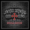 Lynyrd Skynyrd - Sweet Home Alabama