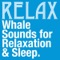 Relaxation: Whale Sounds - Relax lyrics