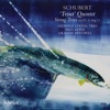Leopold String Trio & Paul Lewis - String Trio in B-Flat Major, D. 581: III. Minuetto: Allegretto