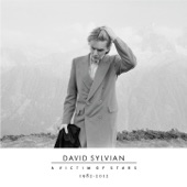 David Sylvian - Let The Happiness In