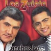 Poncho Zuleta - Decidete