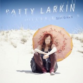 Patty Larkin - Best Of Intentions