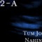 Tum Jo Nahin - 2A lyrics