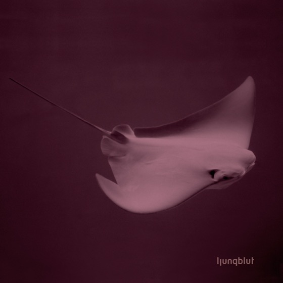 Cover artwork for Touching a Flame