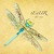 Poetry & Aeroplanes