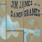Step Into My Jeans - Jim James & The Damn Shames lyrics