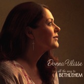 Donna Ulisse - You Will Be Delivered