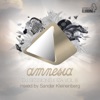 Amnesia DJ Sessions Ibiza, Vol. 8