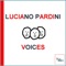 Inspirations - Luciano Pardini lyrics