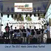 Live At the 2012 Amelia Island Blues Festival - Single album lyrics, reviews, download