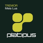 Meia Lua (Steve Gibbs Remix - Remastered) artwork