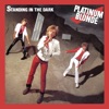 Platinum Blonde - Standing in the Dark