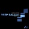 Deep Balsam (Feyser & Hroft Deep Remix) - Techno Animals lyrics