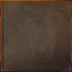 January Journal by Aaron Strumpel album reviews, ratings, credits