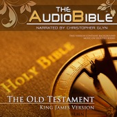 Audio Bible Old Testament.06 Kings - Chronicles artwork