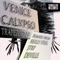 Trapezoid (JTRP Remix) - Venice Calypso lyrics