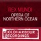 Opera of Northern Ocean (Phynn Remix) - Rex Mundi lyrics