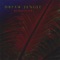 Amadinajara - Dream Jungle lyrics