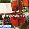 Classical String Quartet (Klassik Streichquartett) artwork