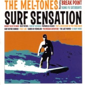 Surfin' Natasha - The MelTones