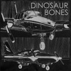 ICE HOTELS - Dinosaur bones